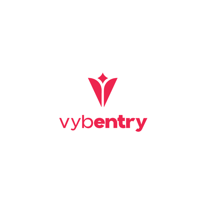 VybEntry Logo